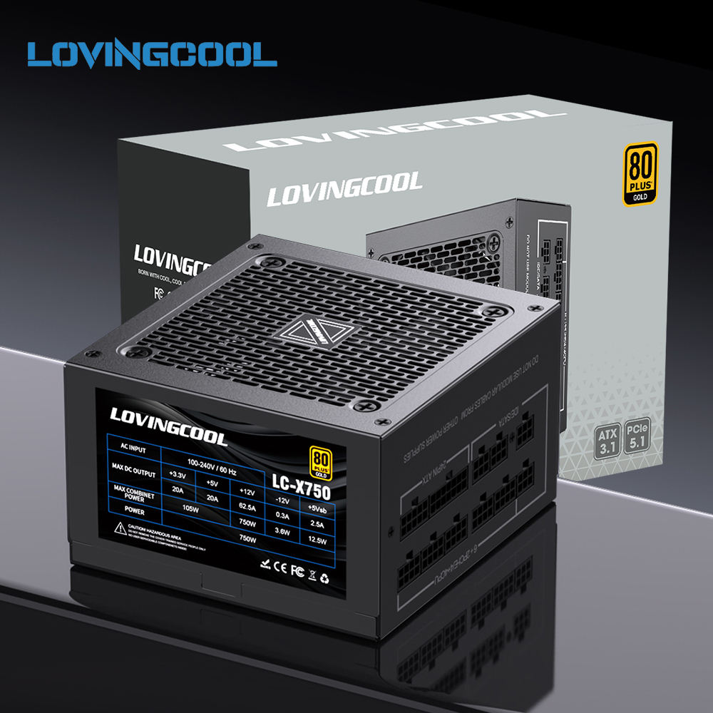 LOVINGCOOL High Quality 750W 80PLUS Gold Certified SATA Connector Computer ATX3.1 PCIE5.1 APFC PC Power Supplies for Gaming PSU
